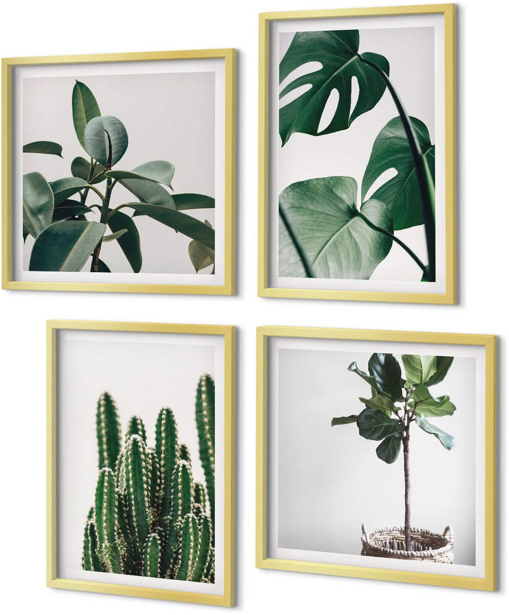Coloray 4-Delige Schilderij Set - Tropische kamerplanten met esthetische bladeren - 40 x 40 cm en 40 x 60 cm - Stijlvolle Muurdecoratie - Kantoor - Moderne Wanddecoratie