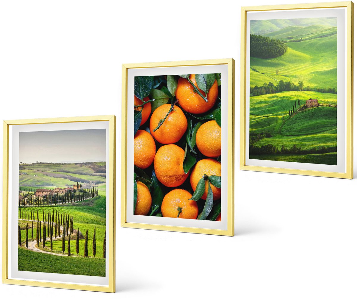 Coloray 3-Delige Schilderij Set - Moderne Geometrische Patronen En Natuurlijke Plantmotieven - 40 x 40 cm En 40 x 60 cm - Muurdecoratie - Decoratieve Schilderijen - Wohnzimmer - Wanddecoratie