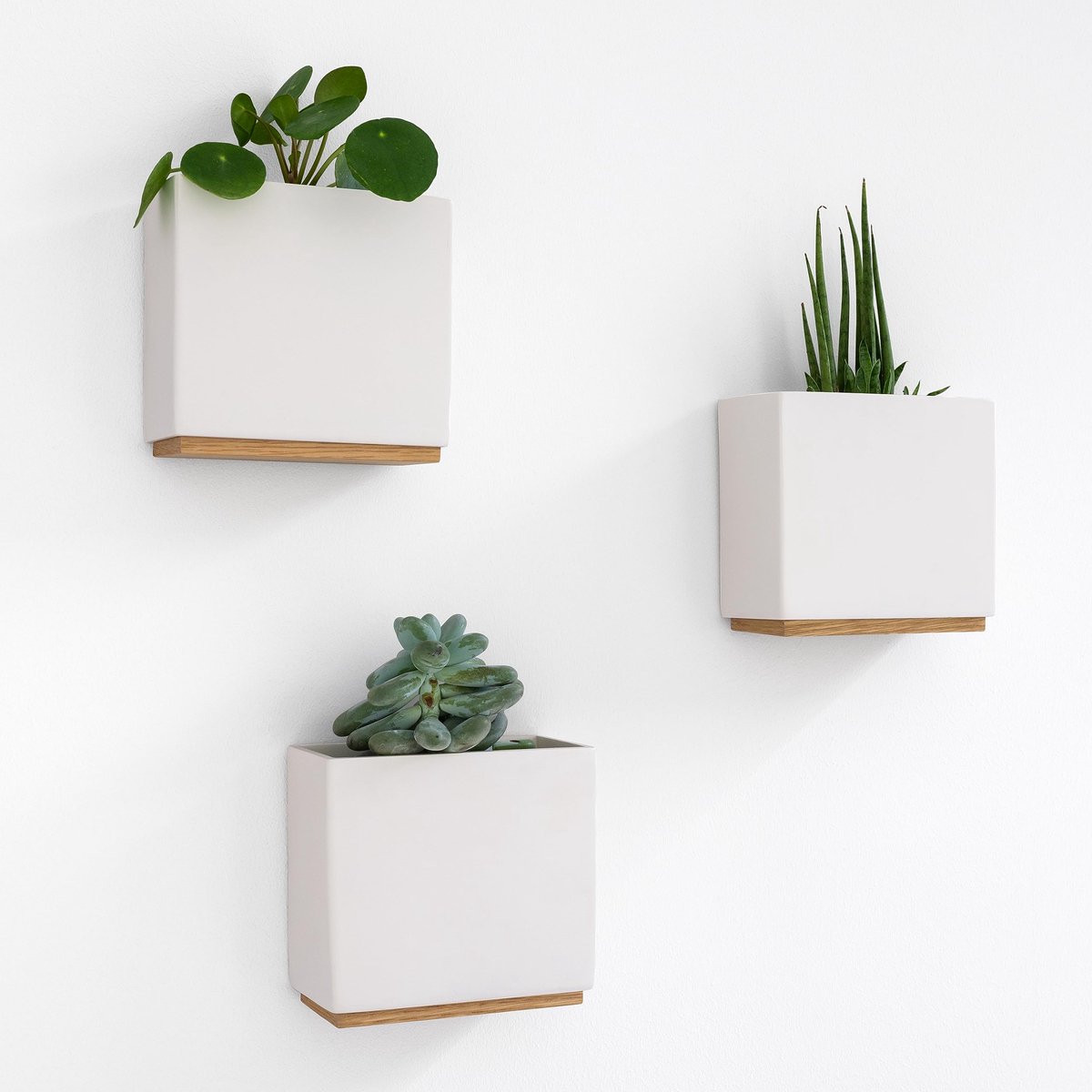 Famanu – Set van 3 moderne muurplanters Alma, hangende plantenpotten van hars, crème, perfect voor decoratie met planten