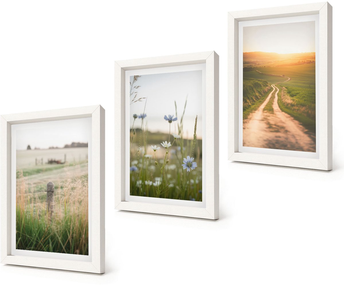 Coloray 3-Delige Schilderij Set - Natuurlandschappen met velden en paden in de zon. - 20x30 - Wanddecoratie - Muurdecoratie - Woonkamer - Stijlvolle Muurdecoratie