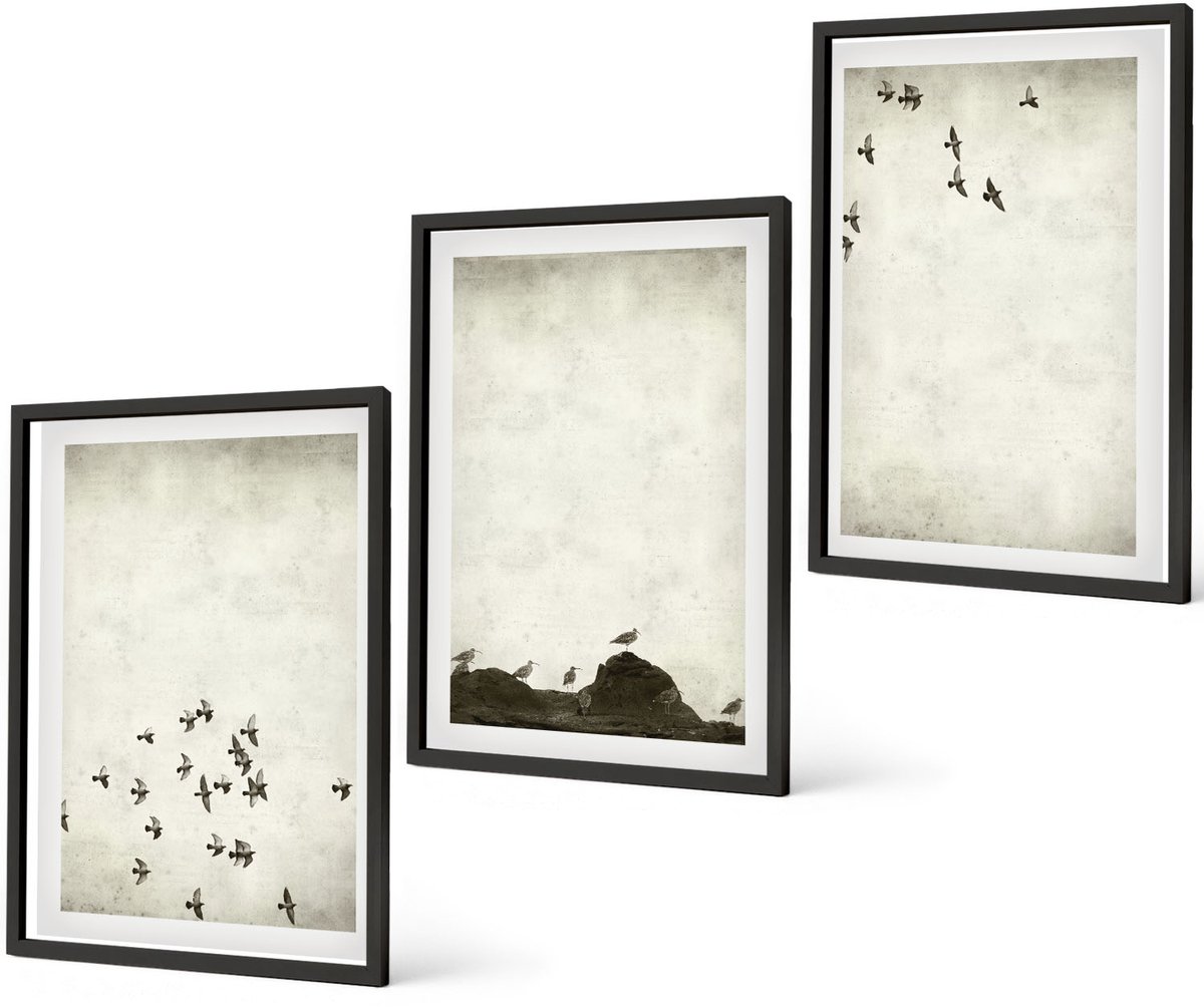 Coloray 3-Delige Schilderij Set - Vogels In Vlucht, Geschilderd In Minimalistische Stijl. - 40 x 60 cm - Wanddecoratie - Schilderijen Set - Interieur Zwarte lijst