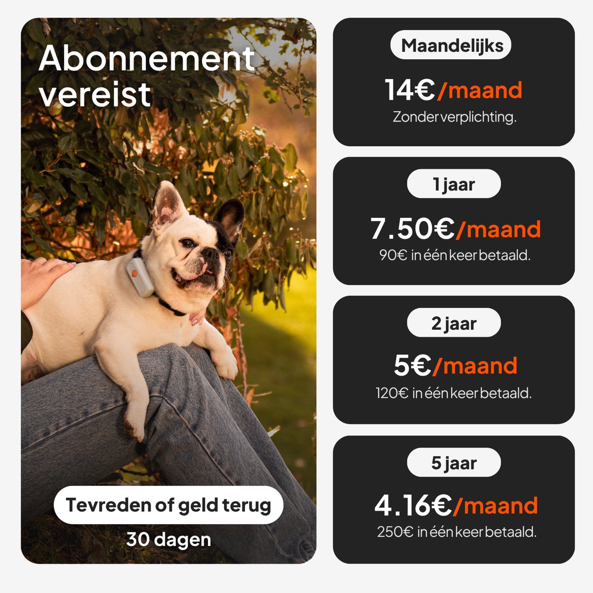 Weenect Dog XS White edition – NIEUWE GPS voor honden | Mini realtime GPS-tracker | Waterdicht | De kleinste op de markt | Werkt met abonnement | Levenslange garantie thumbnail 8