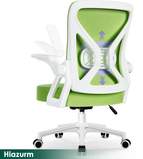 Hiaonyx Ergonomische Bureaustoel met Lendensteun en