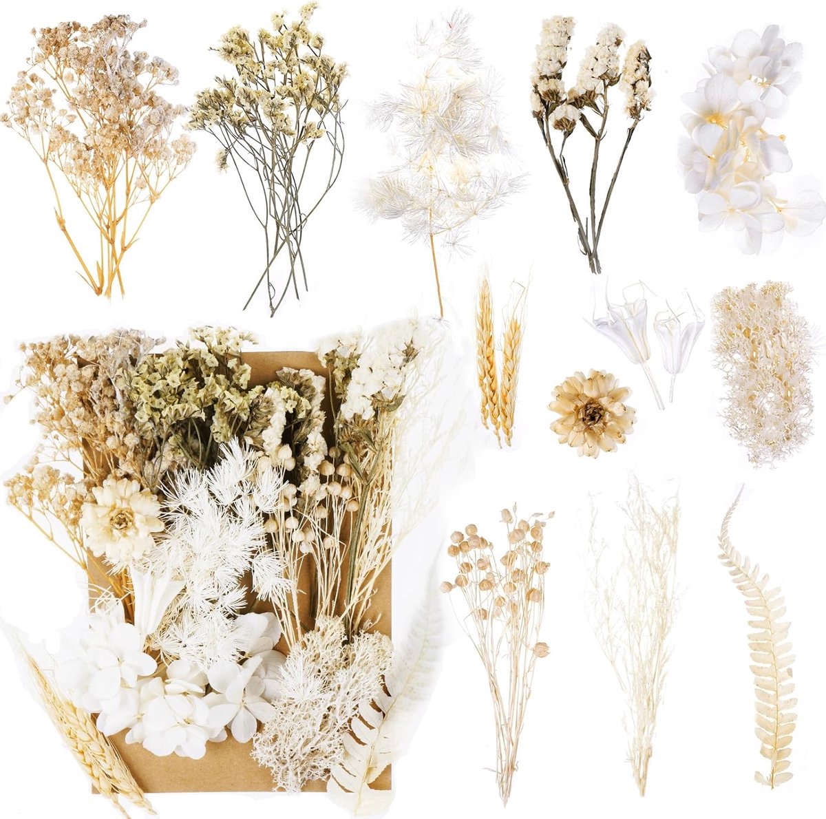 SnelShoppen - Decoratieve Droogbloemen - Echte Gedroogde Bloemen voor Hars, Scrapbooking, Kaarsen, Natuurlijke Decoratie, Epoxyhars - Wit - Handgepluk