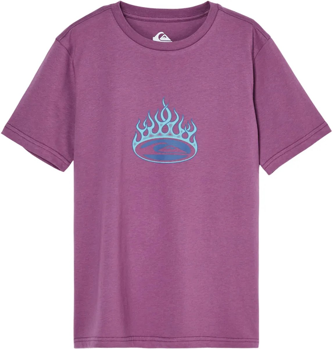 Quiksilver Flaming T-shirt Met Korte Mouwen 16 Years Jongen Grape Jam