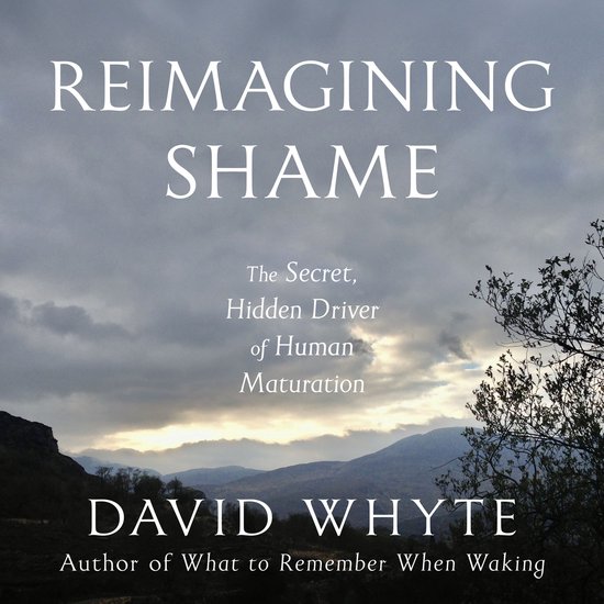 Boekomslag voor 'Reimagining Shame' van David Whyte, met een dramatische lucht boven heuvels en struiken.