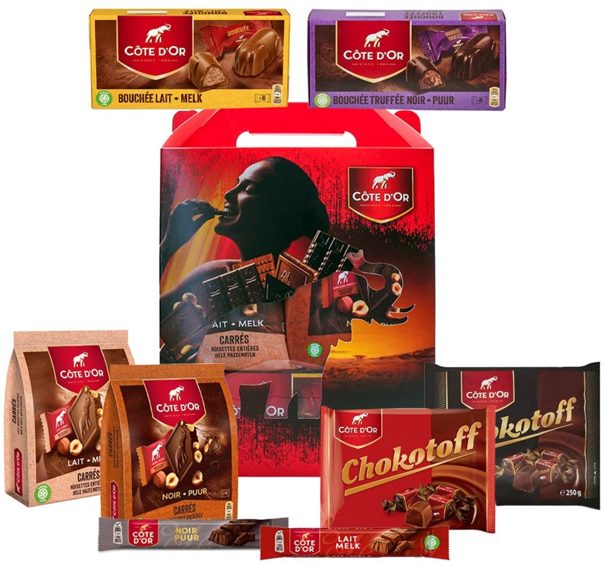 Côte d'Or chocolade giftbox 1600g - assortiment melk & puur - mix van individueel verpakte chocolade - chocolade cadeau