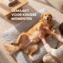 Golden retriever ligt op zijn rug op een grijs pluche hondenkussen, met handen die zijn buik aaien.