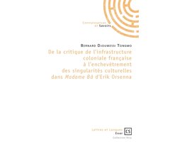 Critique de l'infrastructure coloniale française à l'enchevêtrement des singularités culturelles