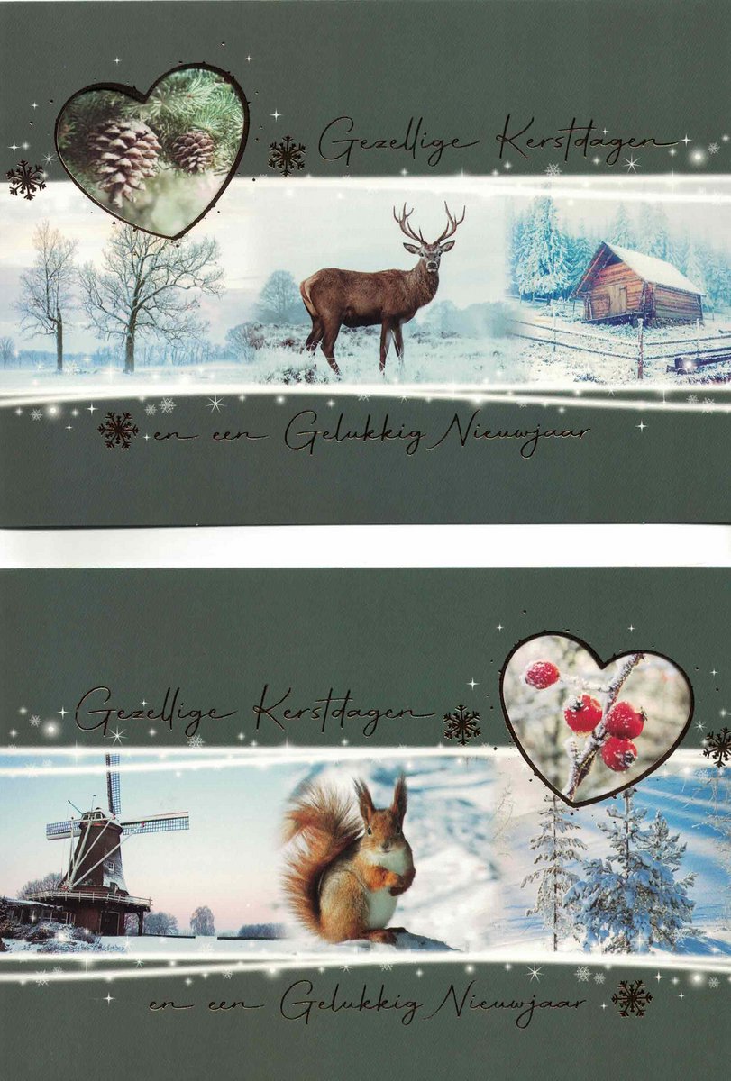 Wenskaarten - kerstkaart - set van 8 - 8 luxe kerstkaarten - 2 x 4 luxe kerstkaarten met envelop