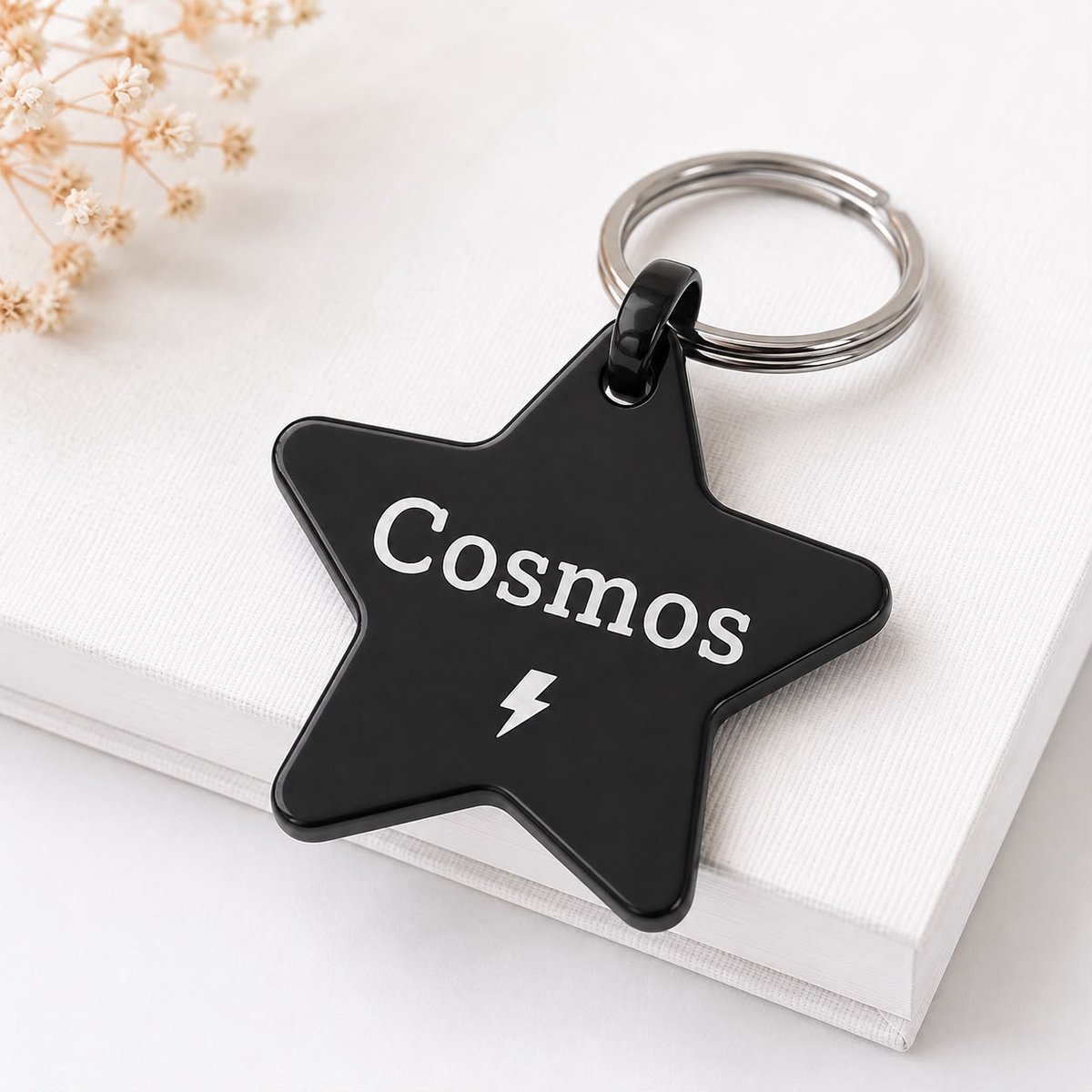 Luxe Ster Hondenpenning | Zwart Ster Hondenpenning | RVS Ster | Huisdierpenning inclusief Graveren | Petshop Seven