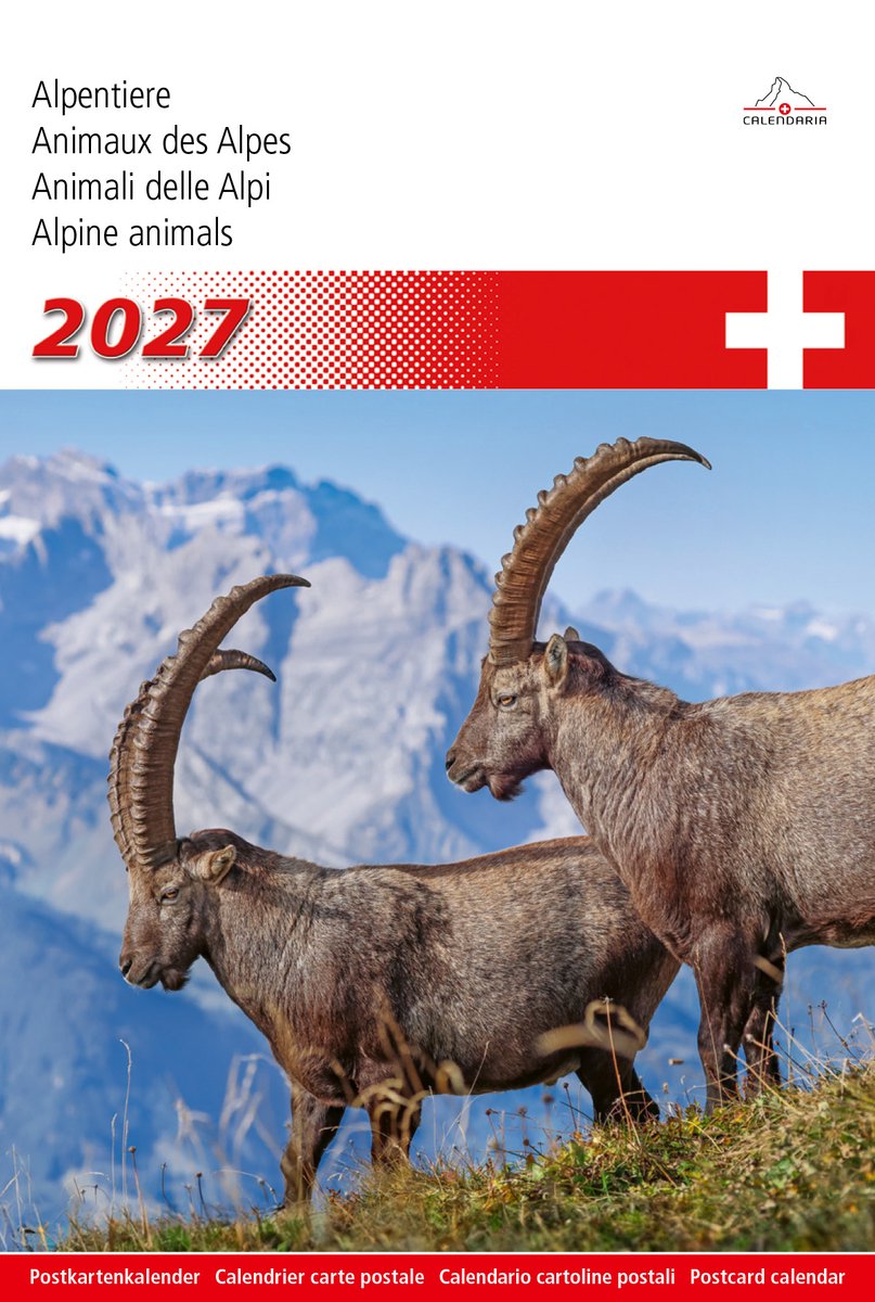 Calendaria - Postkartenkalender - Alpentiere 2027- Zwitserland - Kalender - Formaat: 14 x 22 cm