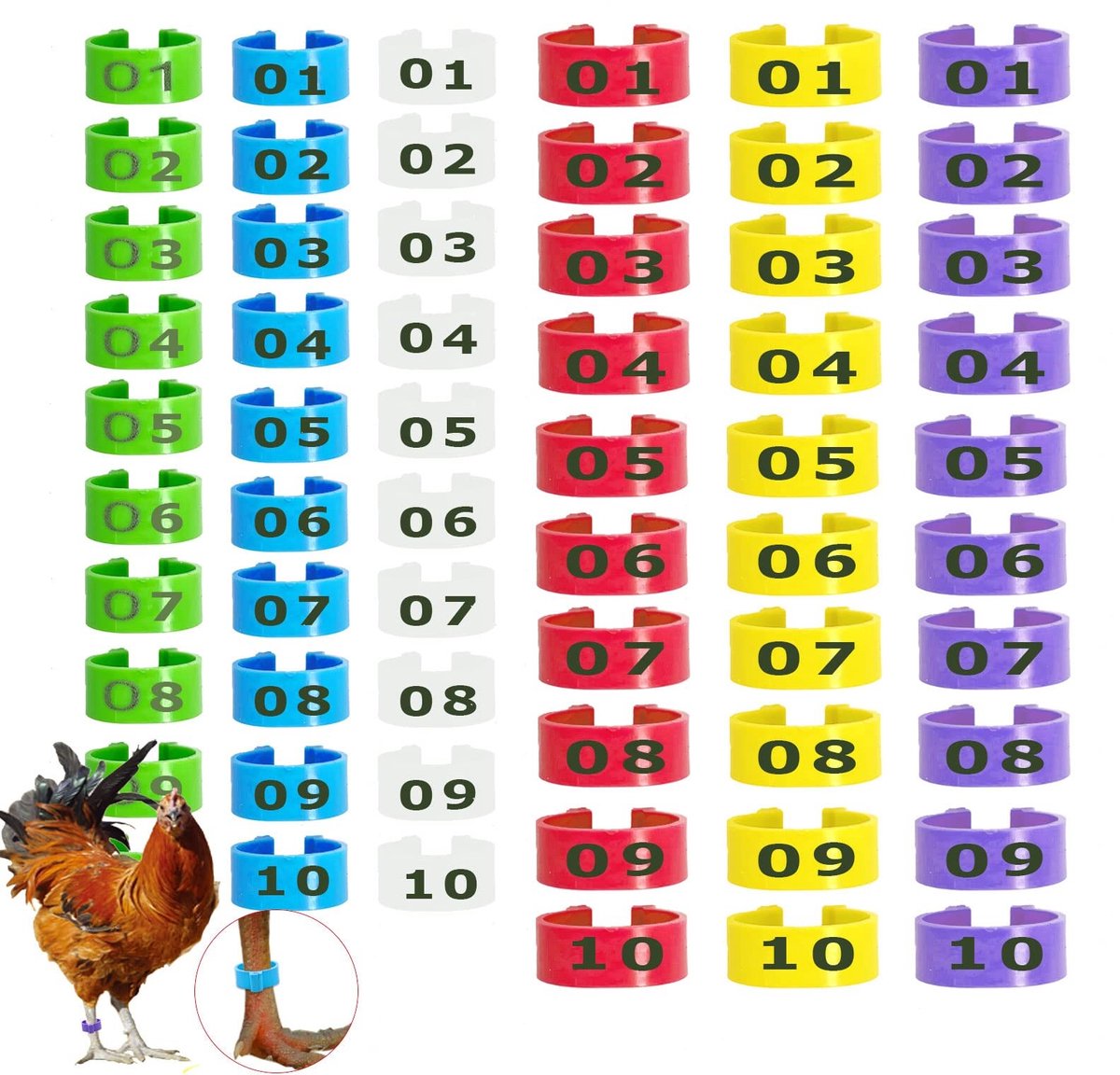 Solidchoice - 60 Stuks Kippenpootringen voor Identificatie