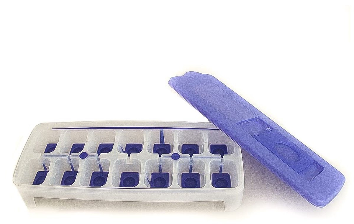 Solidchoice - IJsblokjesvorm met Luchtdicht Deksel 29,1 cm