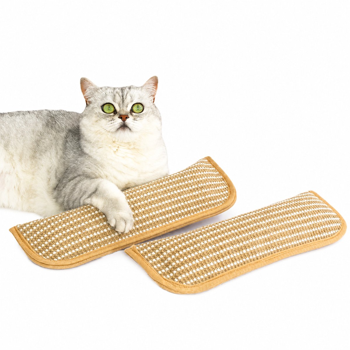 ECTEATOY® 2-Stuks Speelgoed met kattenkruid Kussen - Kattenspeelgoed - Linnen en Kauwkussen Vol - voor Kittens en Volwassen Katten - 34x9,5 cm
