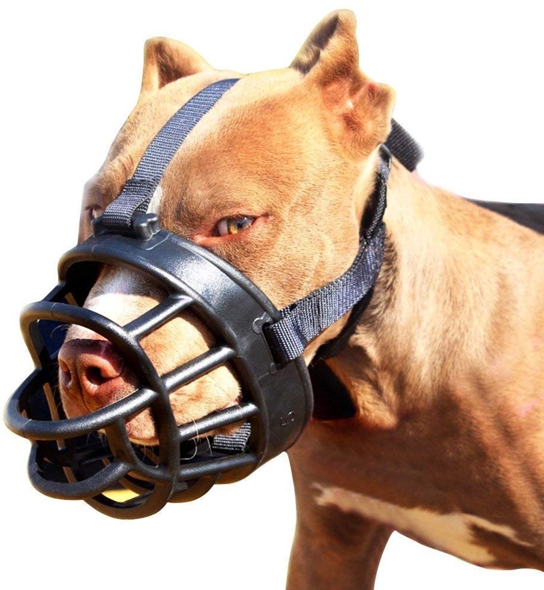 Solidchoice - Verstelbare Muilkorf voor Honden, Size 5, Zwart