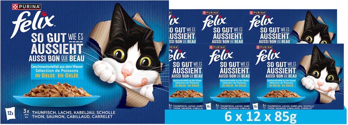 Felix PURINA FELIX As Good as It Looks 12-Pack Wet Cat Food, A Variety of Flavors from the Water (6 x 12 x 85g)