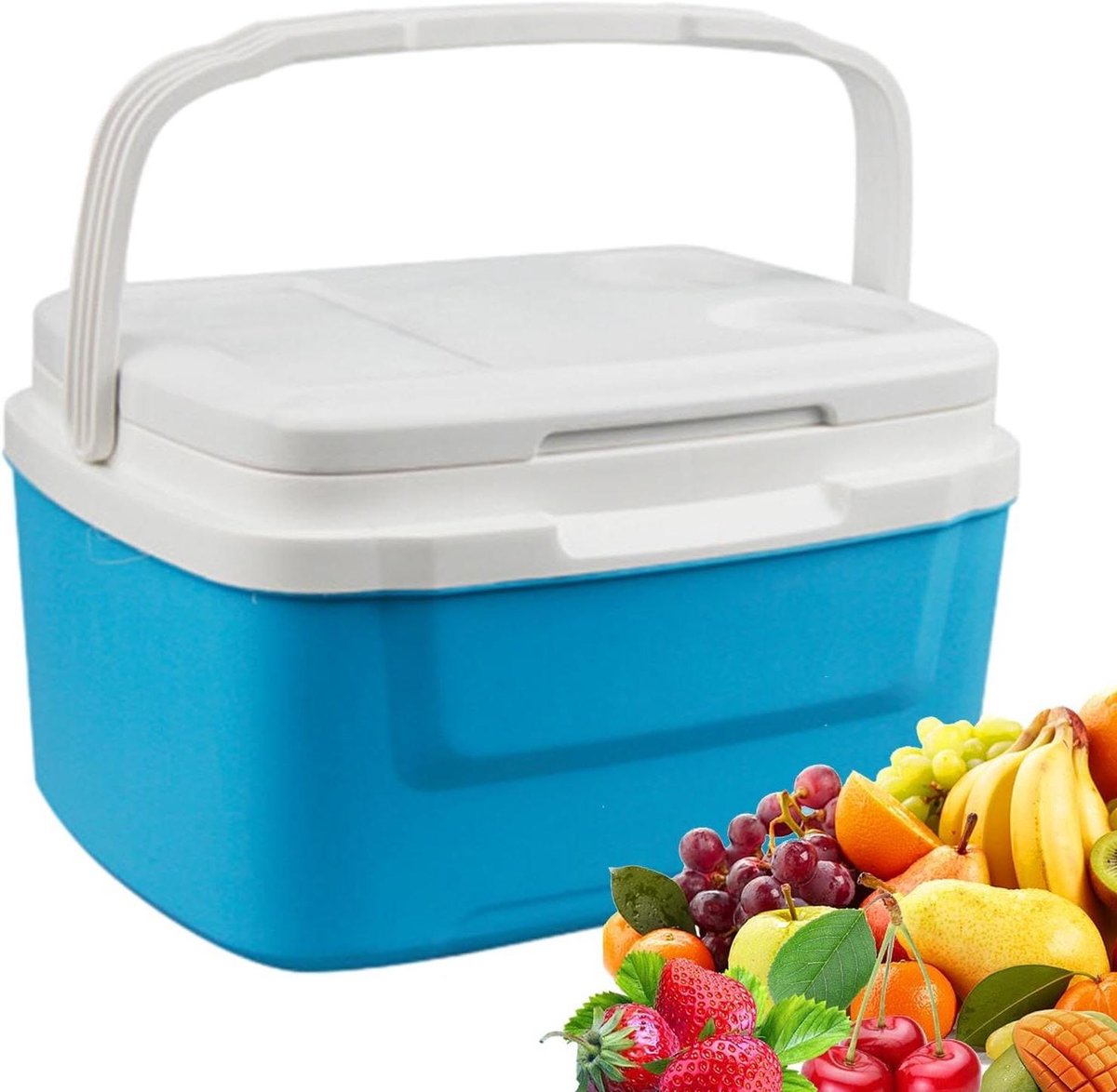 Kleine koelbox - Draagbare koeler - Picknick en kamperen - Lekvrije harde koeler - 8 liter capaciteit - Blauw