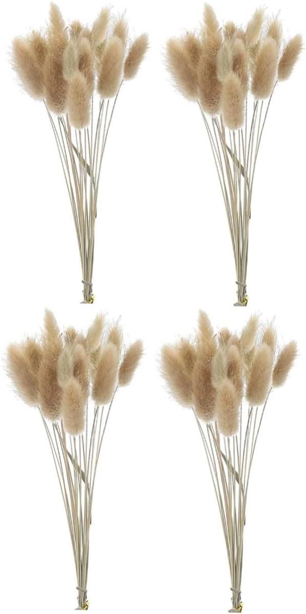 Gedroogde Bloemen Boeket - Konijnenstaarten Gras - Huis Decoratie - Natuurlijke Planten - 30 cm - N.v.t.