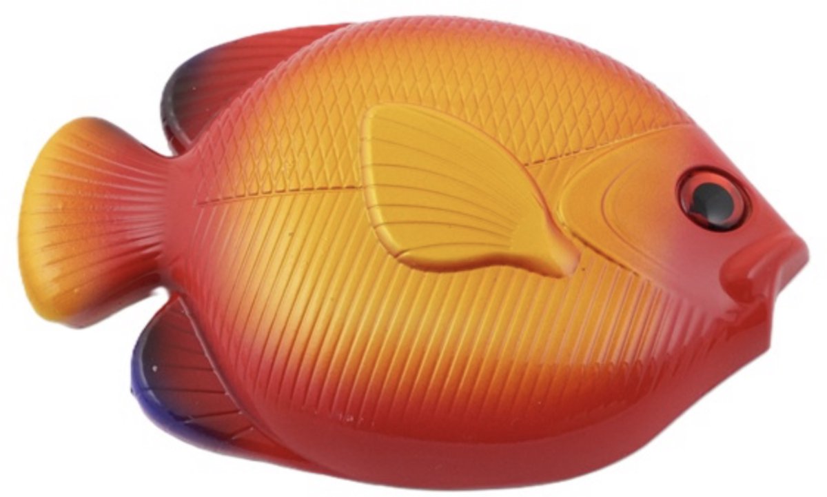 Best Divers Duiklood Vis | Loodgewicht voor Duikgordel | 1 kg | Red Top