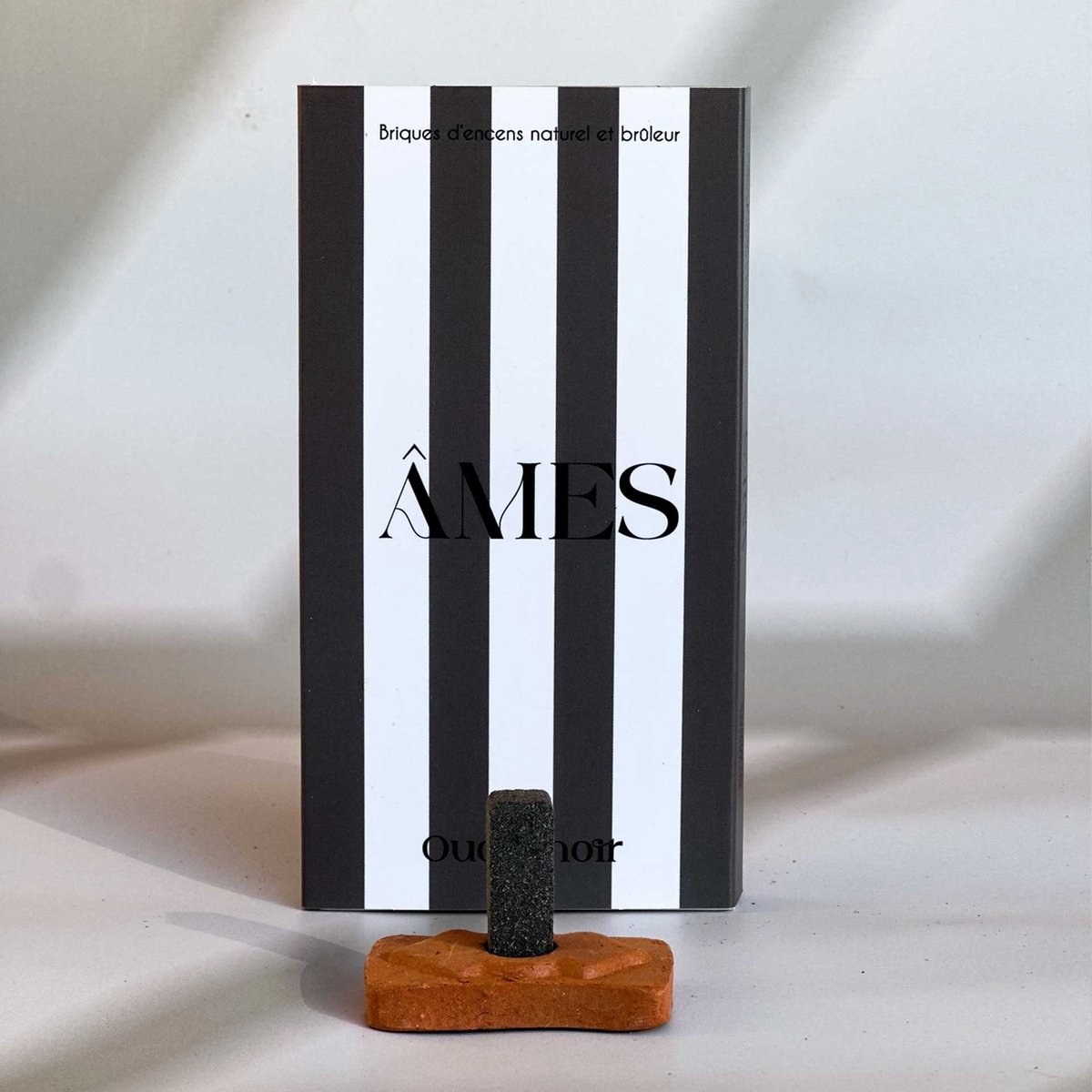 Ames Wierook Natuurlijk Oudh Noir - Wierook Blokjes Set van 15 met Terracotta Houder - Wierookblokjes Cadeau Kruidig Hout en Hars - Âmes