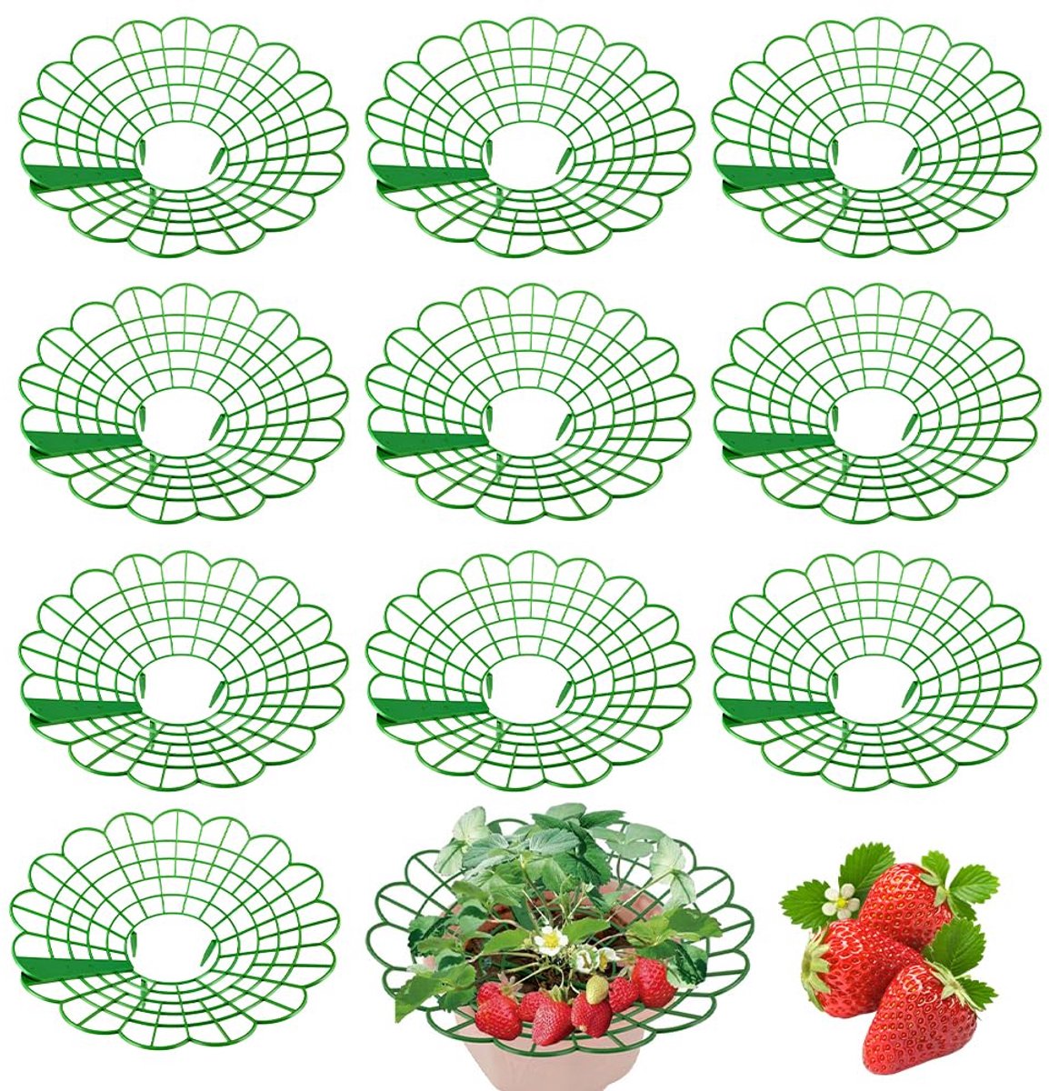Aardbeienstandaard, afneembare aardbeihouder, steunframe voor aardbeien om te voorkomen dat aardbeien rotten, anti-slakken