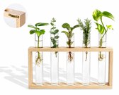 Grovita Stekstation met 5 Reageerbuisjes – Hout – Met Ophangsysteem en Schoonmaakborstel - Muurvaasjes – Cadeau voor Plantenliefhebbers