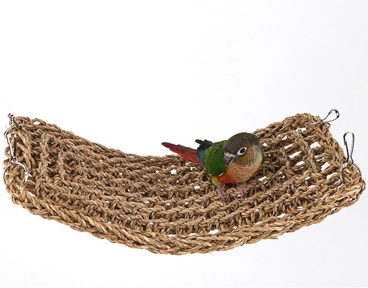 zeegras mat, 40 x 19 cm papegaai gras geweven hangmat parkiet inkepingsbeen kauwspeelgoed accessoires valkparkiet klimtouw ladder voor dwergpapegaai Conure Budgie, kaketoe benodigdheden