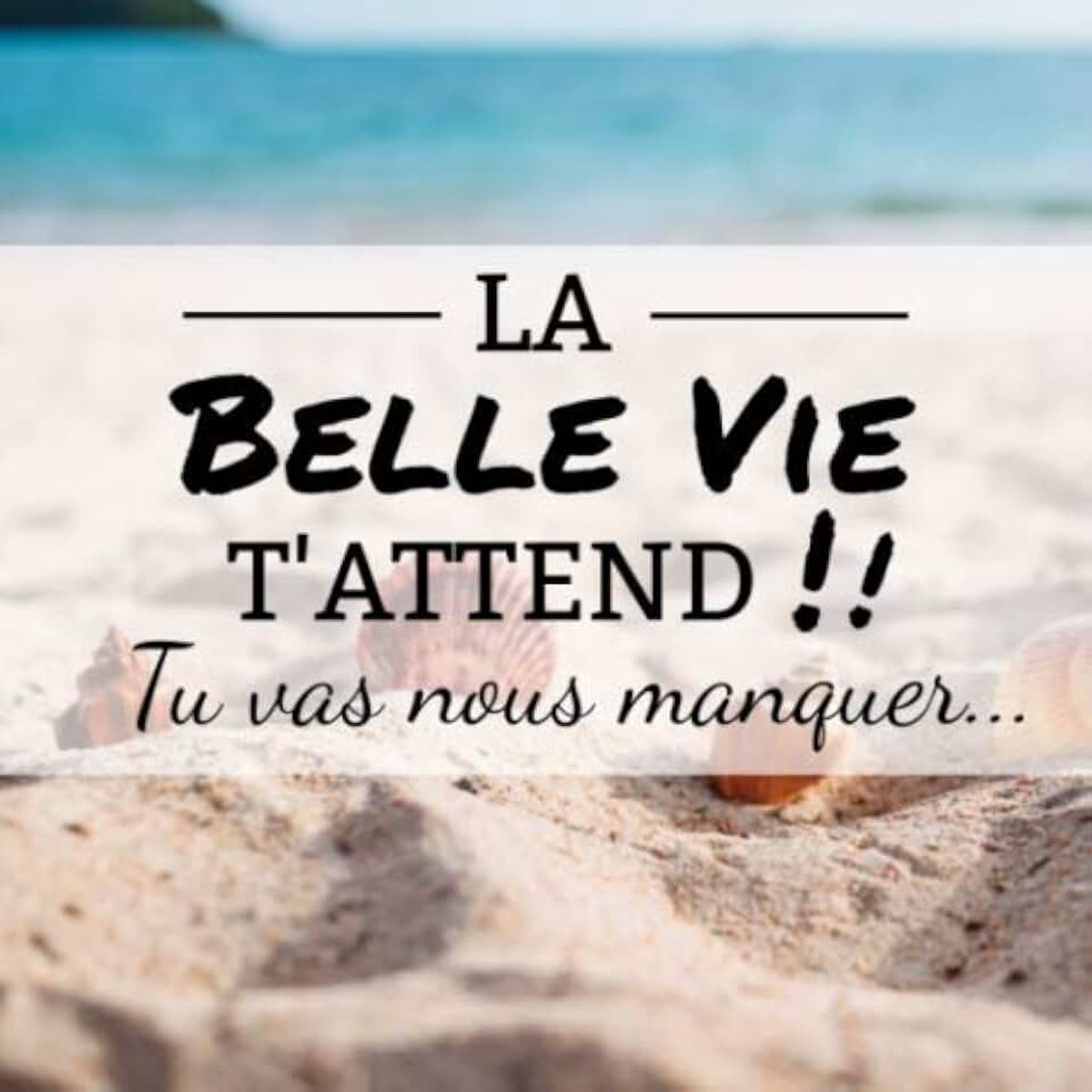 Belle vie t'attend: Livre d'Or de départ à la retraite | 21,59 x 21,59 cm, 100 pages | Beau livre d'or à compléter de messages personnalisés, ... et remerciements | Cadeau pour pot de départ
