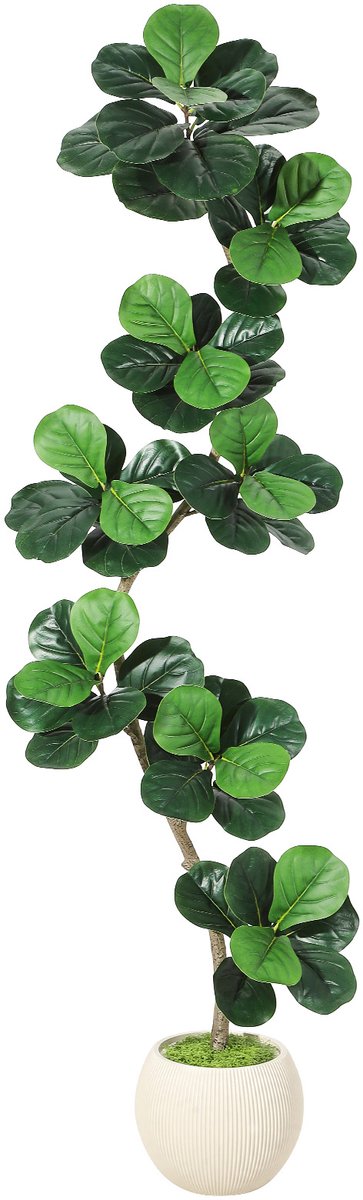 210cm Realistische kunst‑Vioolbladvijgboom – weelderige kunstvloerplant voor binnen met moderne witte sierpot en siermos – hoogwaardige kunstplant voor thuis, woonkamer en kantoor