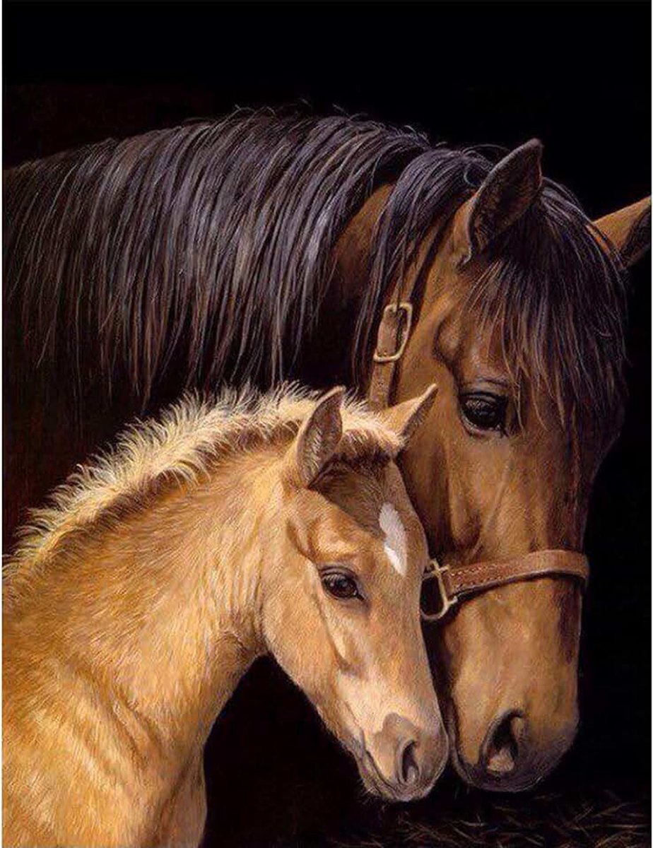 5D Diamond Painting Paard Borduurwerk Volledige Kit, Diamant Schilderij 30 x 40 cm