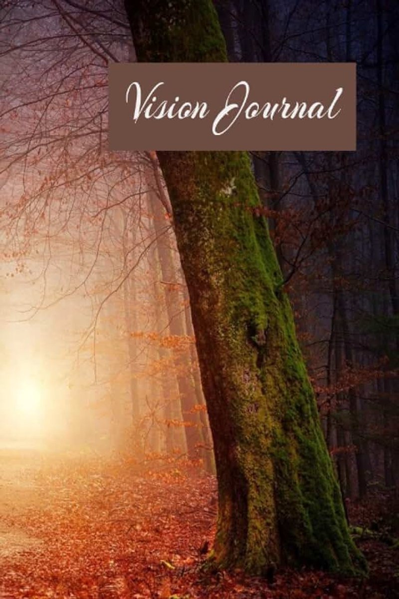 Vision Journal