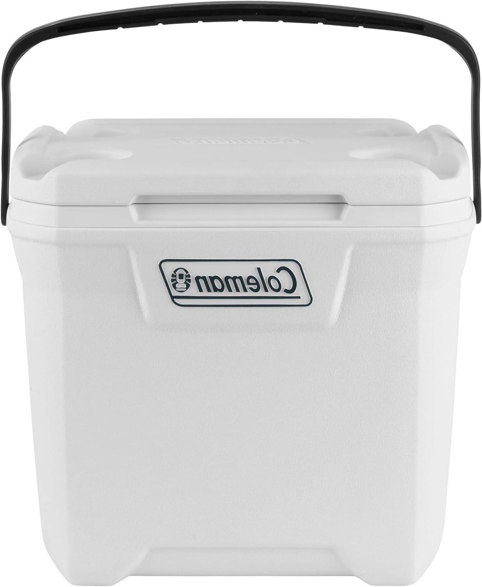 Koelbox Ruim - IJsbox Outdoor - Buitenactiviteiten Opslag - Houdt IJs Lang - 264 Liter - Wit
