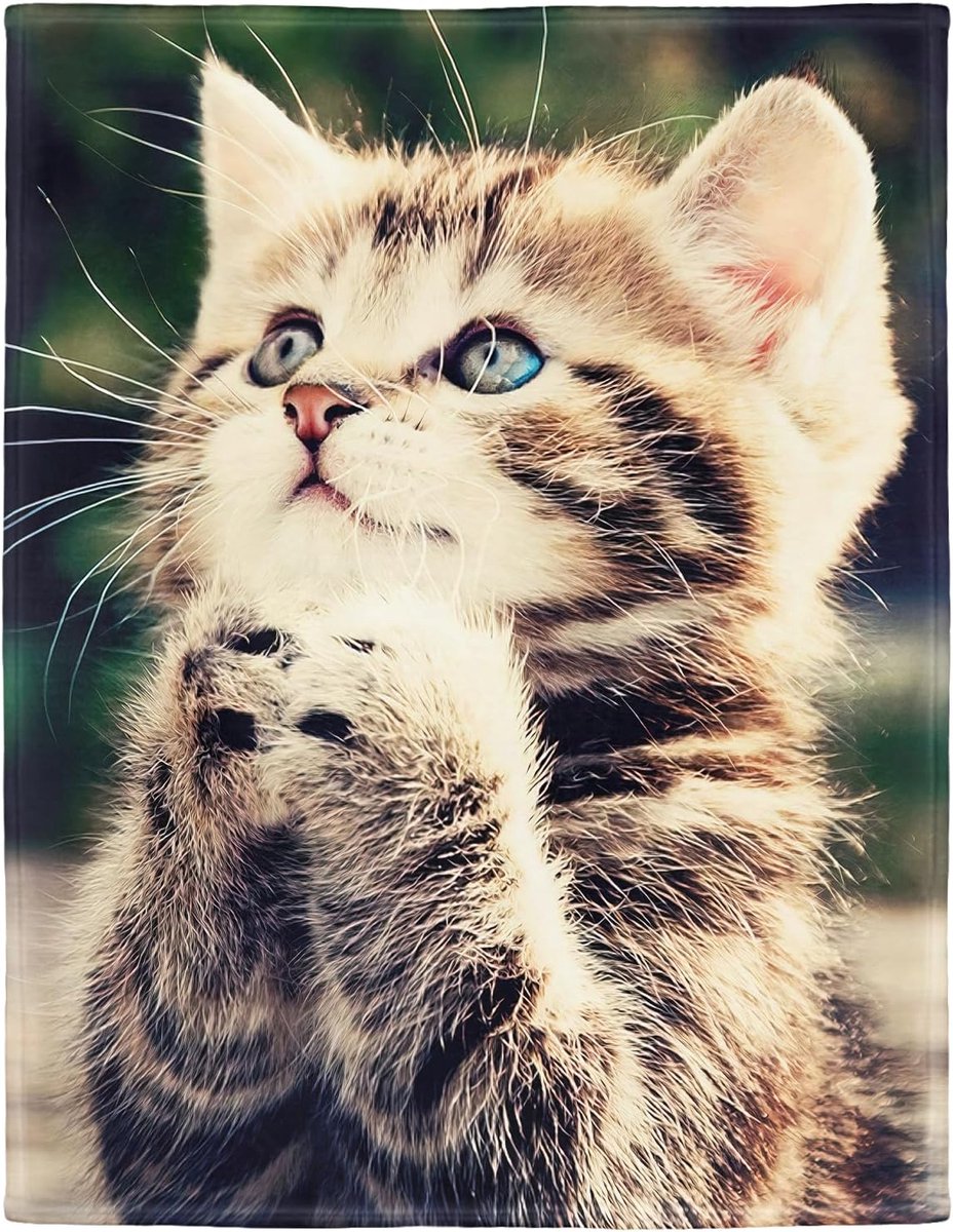 YISUMEI - soft fleece blanket - lovely cat, throw suitable for bed or sofa - ShopVlot