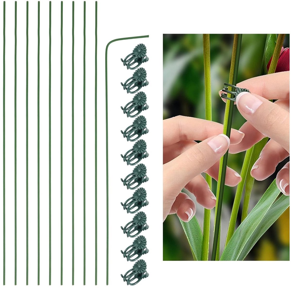 SnelShoppen - Plantenstandaard 30 cm verstelbaar, 10 stuks met plantenclips voor klimplanten, Monstera, orchideeën, tomaten, rozen en bloemen - duurza