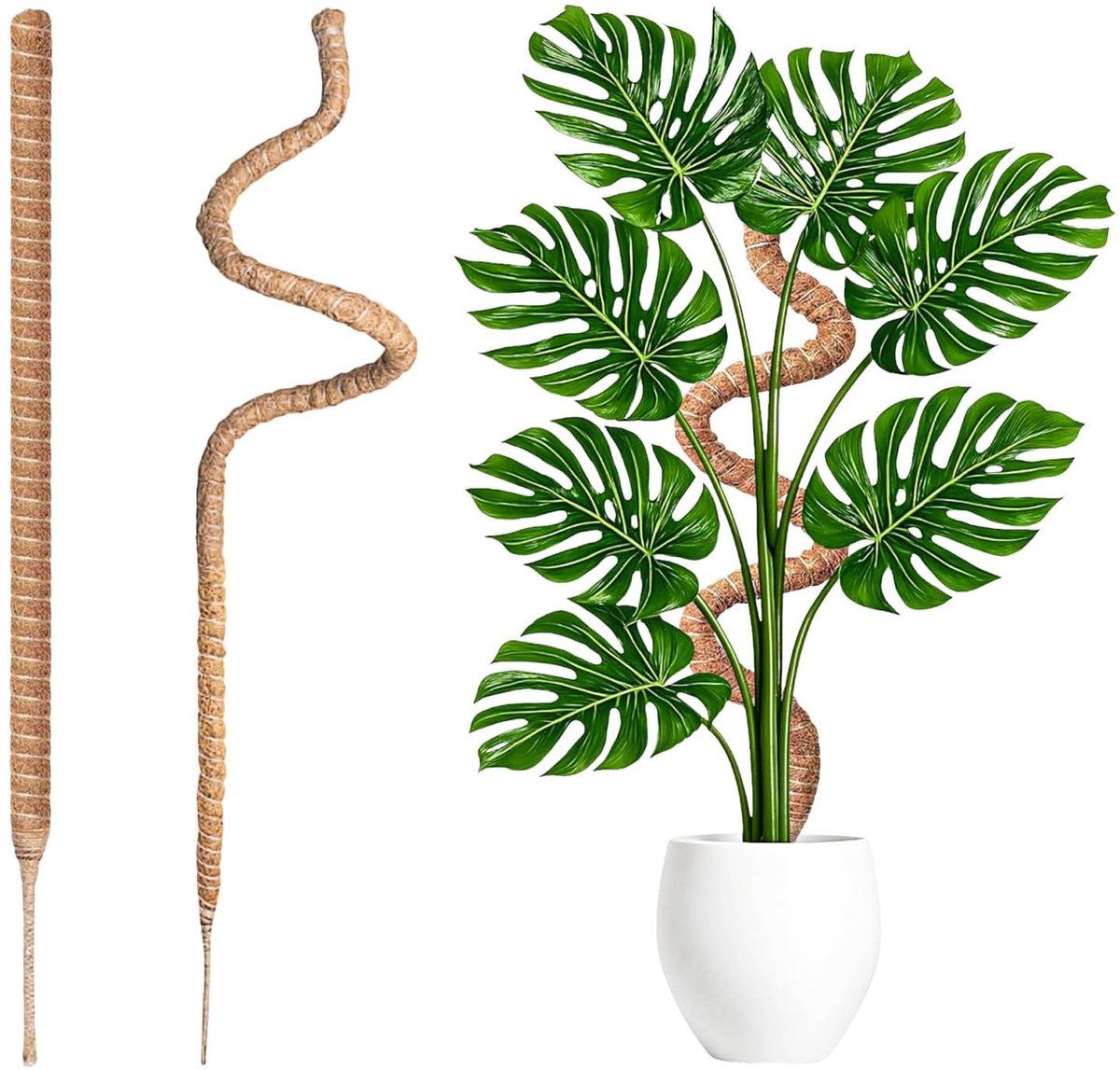 Solidchoice - 2 Stuks Mosstokken voor Klimplanten in Huis