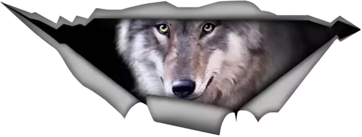 Solidchoice - 3D Autosticker Wolf 15 cm Waterdicht en Reflecterend