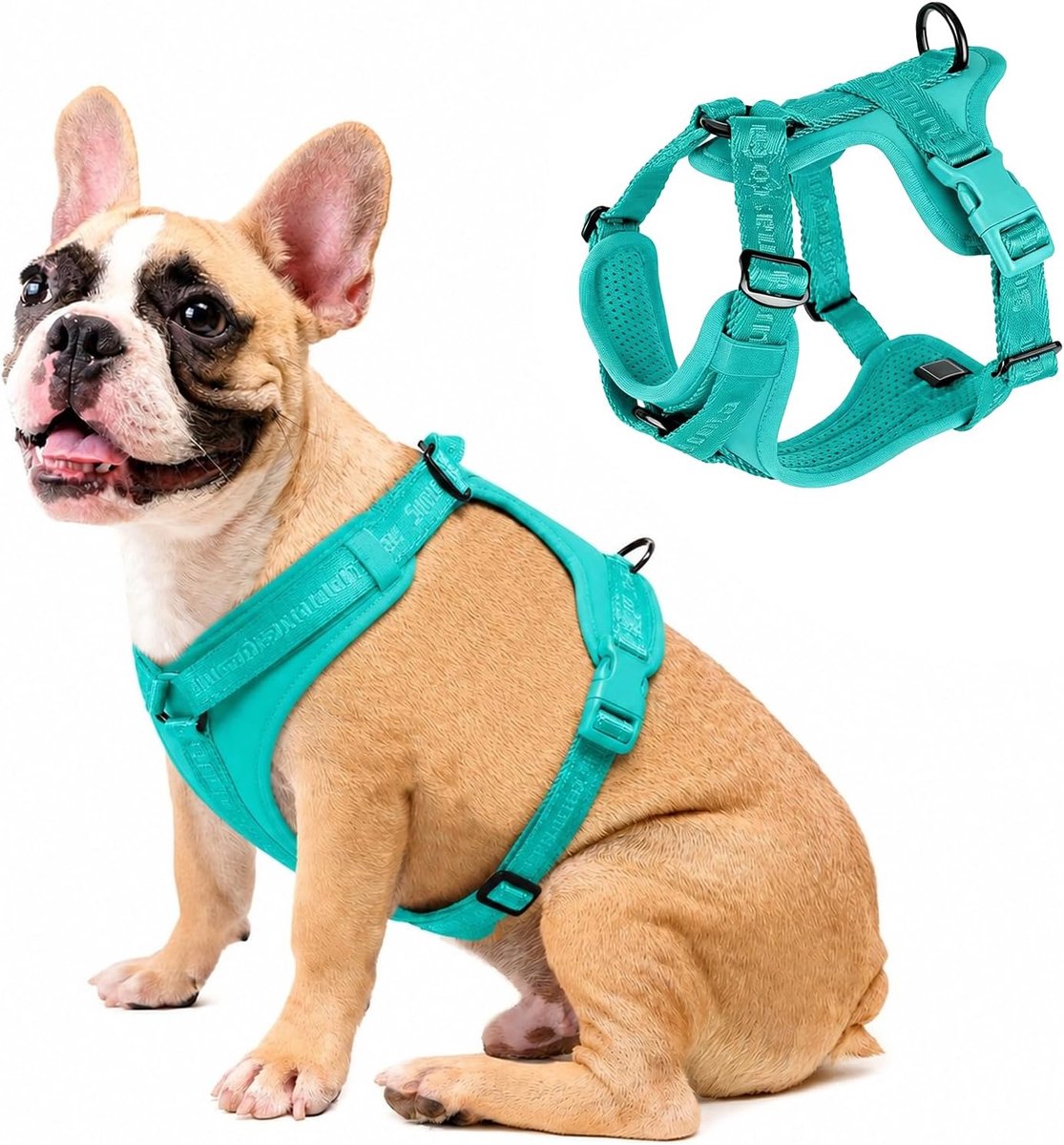 Hondenharnas S - Ademend borstharnas - Anti-trek ontwerp - Veiligheidsharnas voor kleine en middelgrote honden - ShopVlot