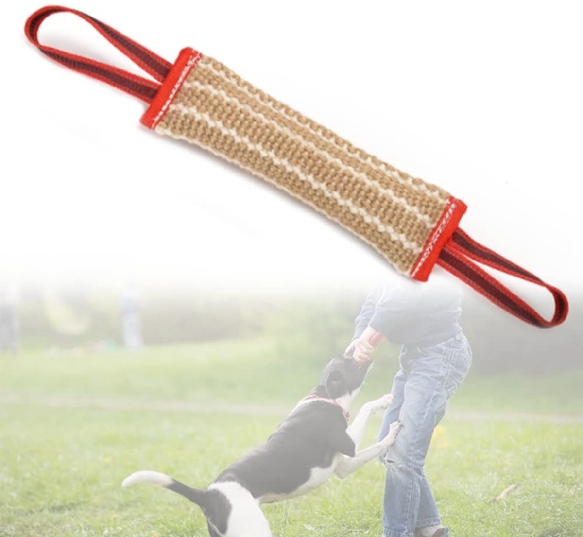 Solidchoice - Interactief Trainingsspeeltje voor Honden