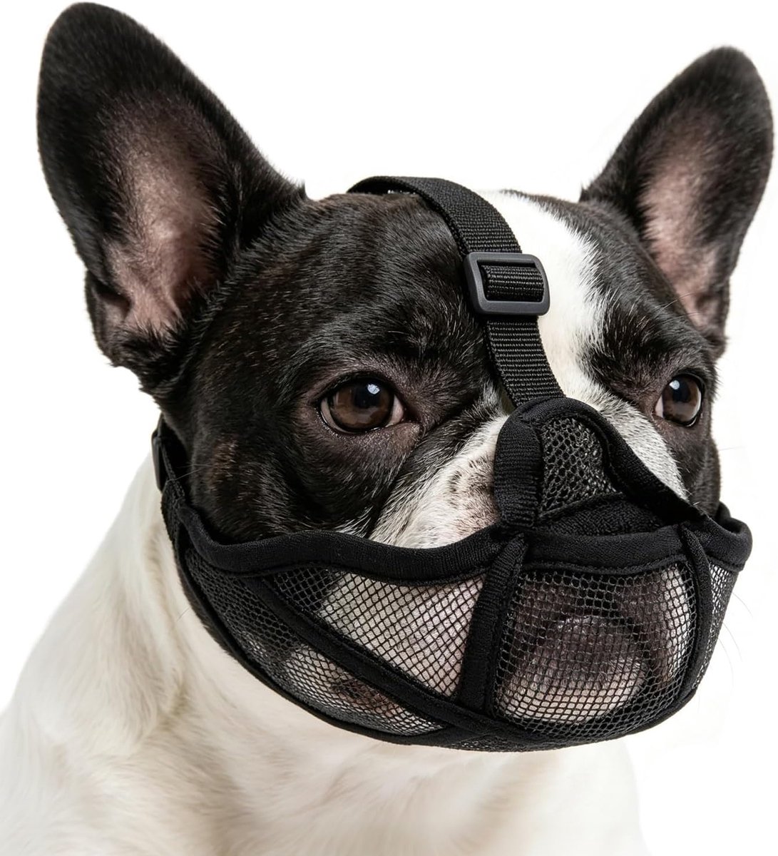 Muilkorf voor Franse Bulldog - Ademend mesh - Verstelbaar - Veilig drinken en hijgen mogelijk - ShopVlot