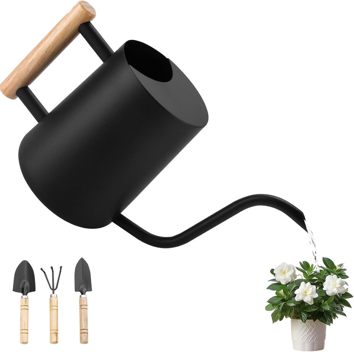 Gieter - Zwart - 1 Liter - Roestvrijstalen Gieter met Lange Uitloop - Voor Kamerplanten en Tuin