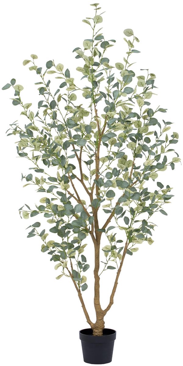 Keeplush Eucalyptus kunstboom, 210 cm, grote kunstplanten met 689 zijden bladeren, grote kunstplanten als echte - ShopVlot