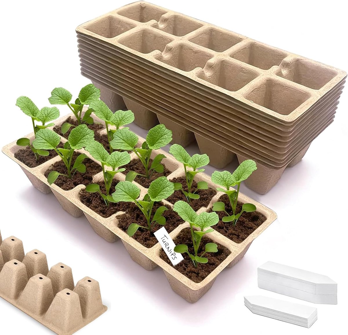 Biodegradable Fibre Seed Pot Seed Pot Seed Pot Seed Pot Seed Pot Seed Pot Seed Pot with Hole in the Bottom Suitable - ShopVlot