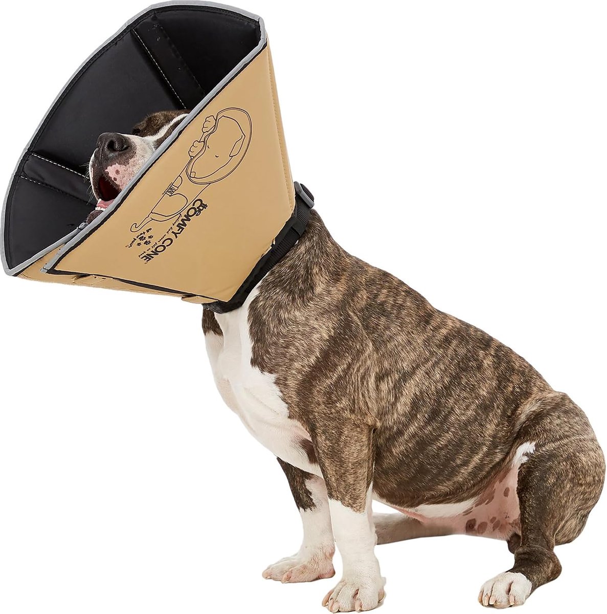 All Four Paws "The Comfy Cone" Pet Collar - ShopVlot