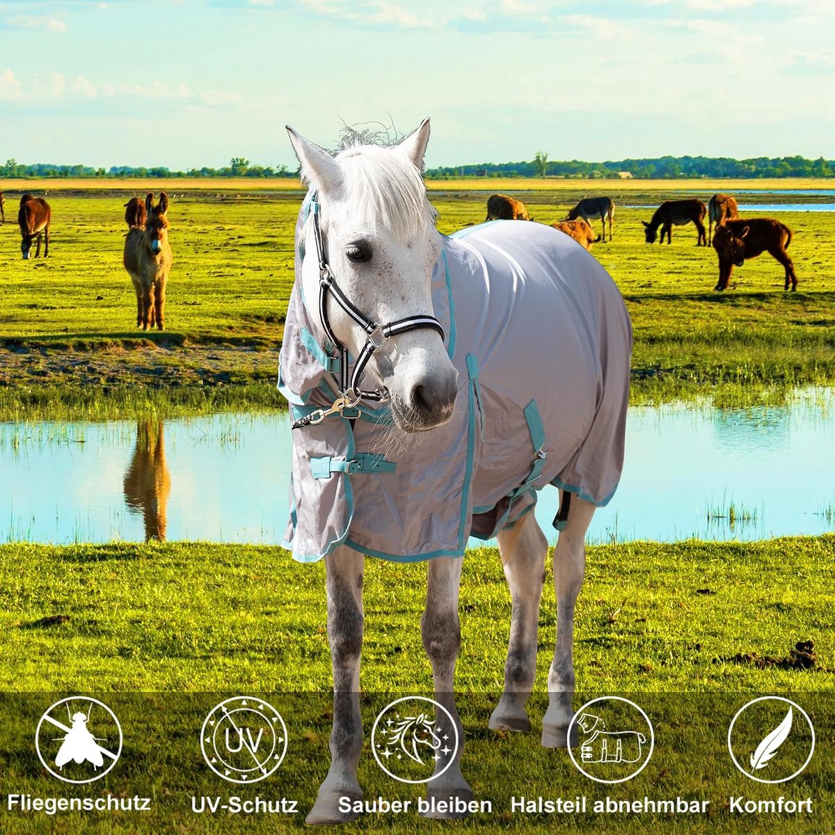 Fly Blanket for Horses with Neck Part, Breathable Summer Duvet with UV Protection and Abrasion Protection, Adjustable - ShopVlot