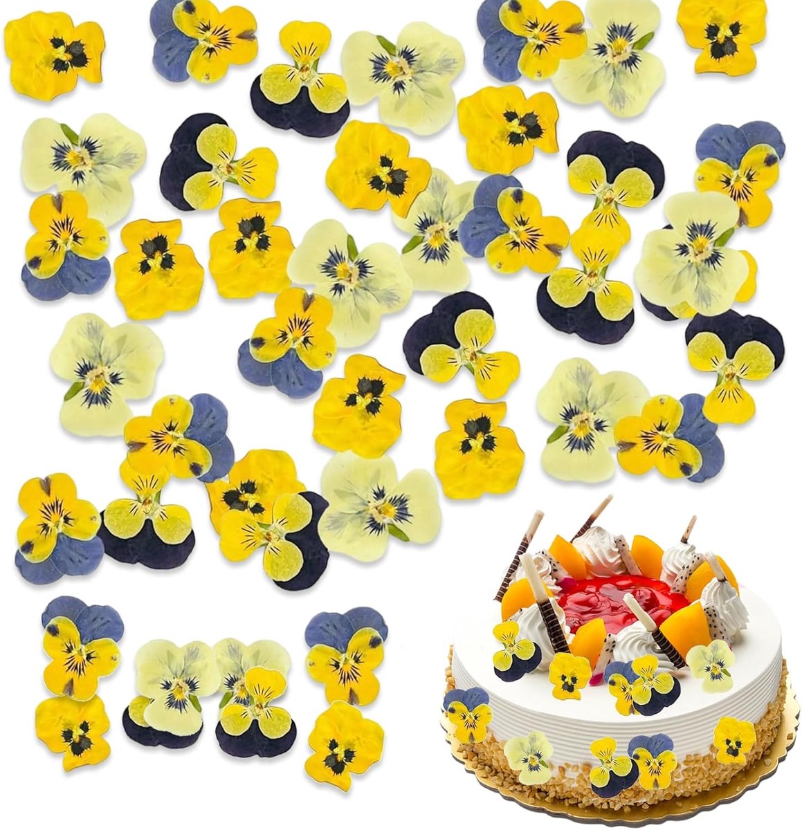 Geperste viooltjes 40 stuks - driekleurige droogbloemen - natuurlijke uitstraling - ideaal voor knutselen - ShopVlot
