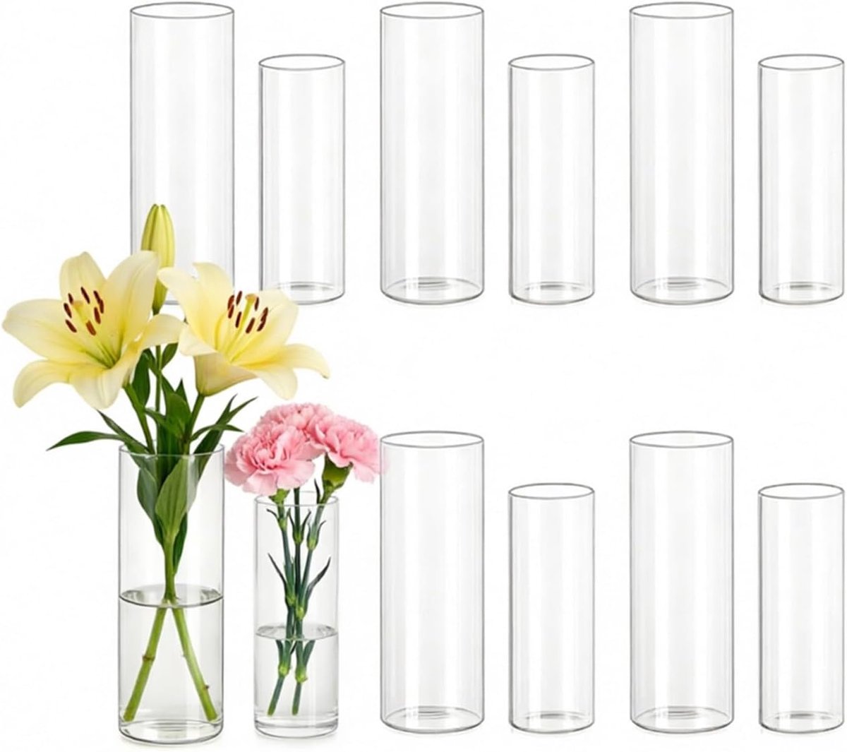 SnelShoppen - Set van 12 Glazen Cilindervazen voor Tafeldecoratie - Kleine Vazen (5,5x15 cm & 6,5x18 cm) voor Bruiloft, Feestdecoratie, Woonkamer