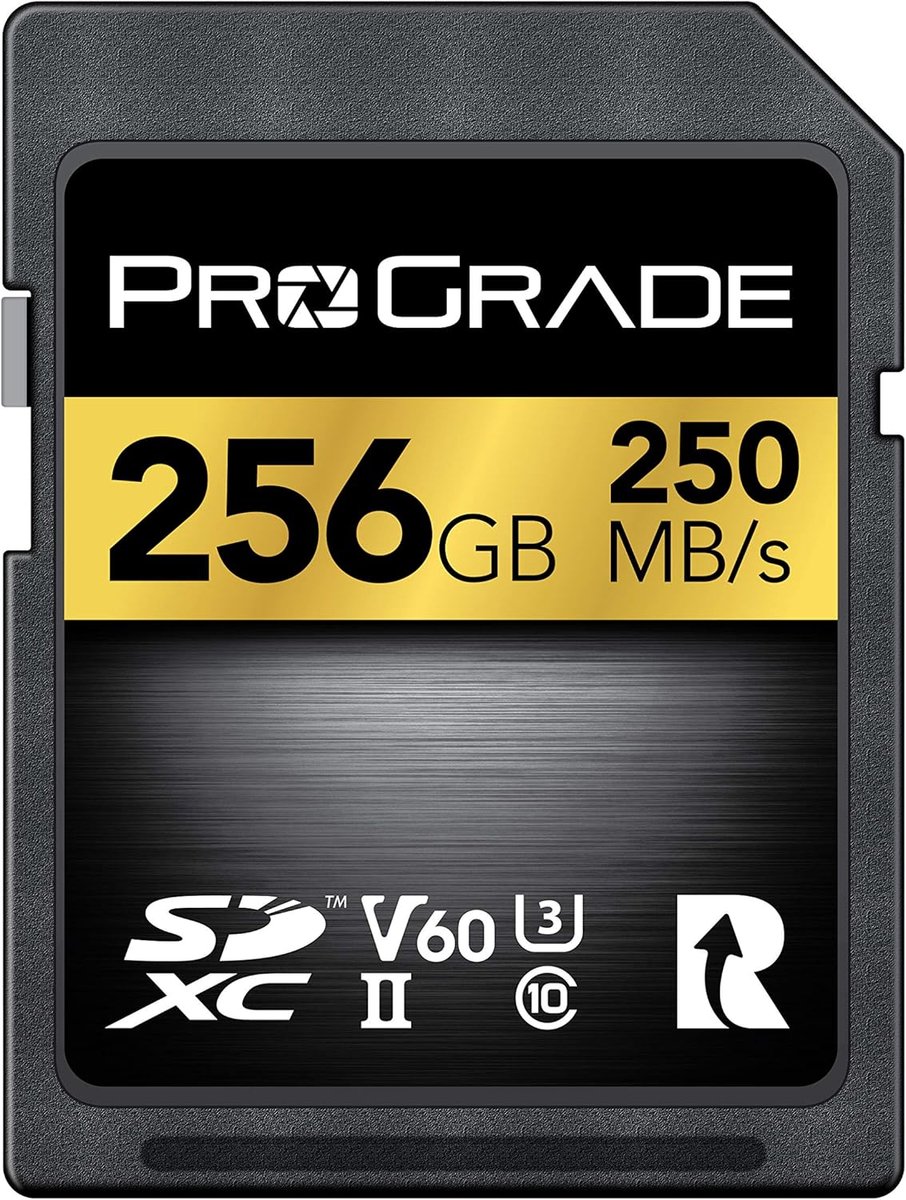 SnelShoppen - SD UHS-II 256GB Geheugenkaart V60 - Tot 130MB/s schrijfsnelheid en 250MB/s leessnelheid - Voor professionele vloggers, filmmakers, fotog