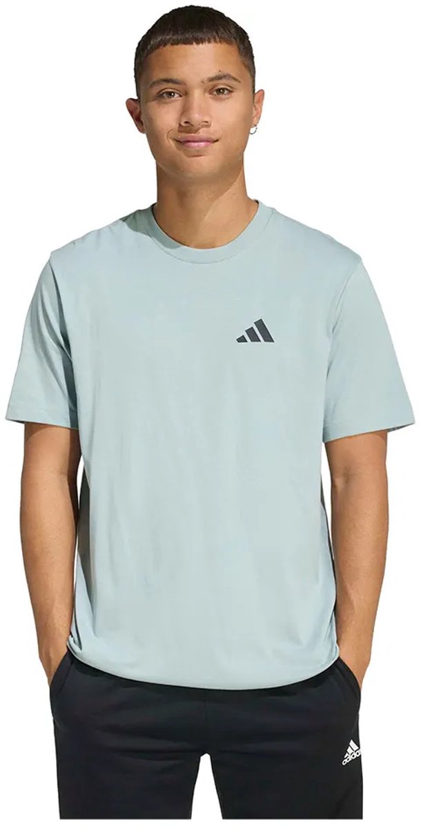 Adidas Outdoor Mountain Biking Graphic T-shirt Met Korte Mouwen XL Regular Man Wonder Sage