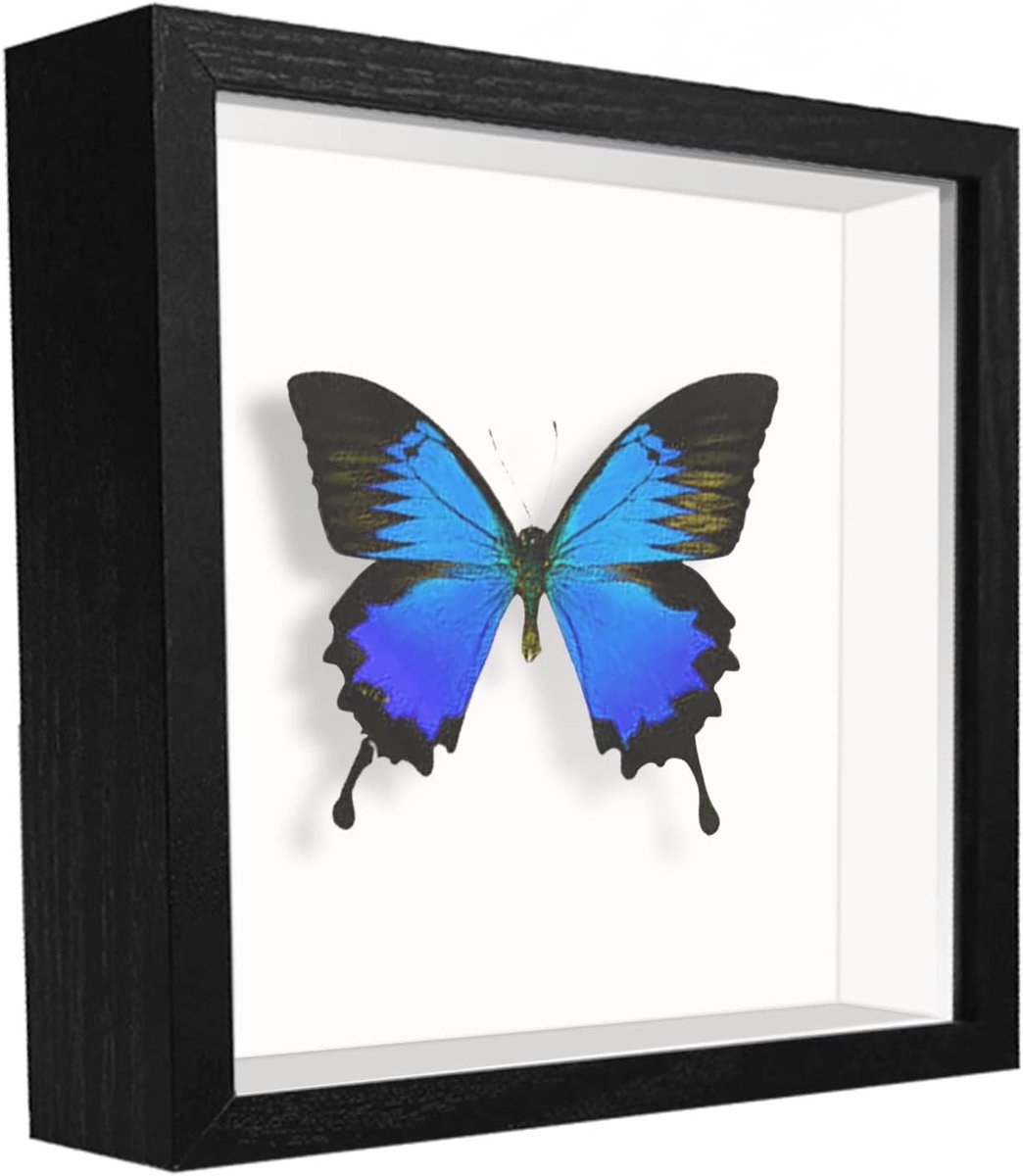 SnelShoppen - 3D Schaduw Frame 13x13 cm, Diepe Houten Foto Lijst, Vierkante Lijst voor Bloemen, Medailles en Creaties, Staand of Aan de Muur